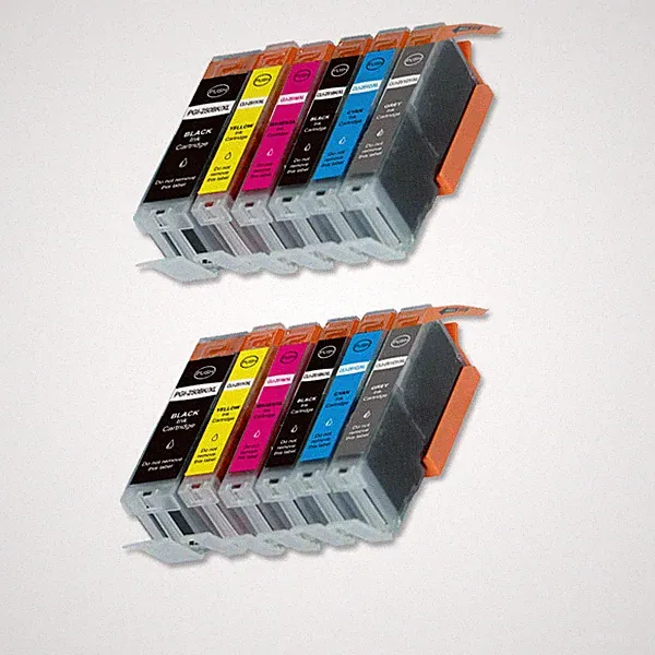 12 PK Printer Ink Set + CHIP w/ Gray fits Canon 250XL 251XL MG6320 MG7120 MG7520